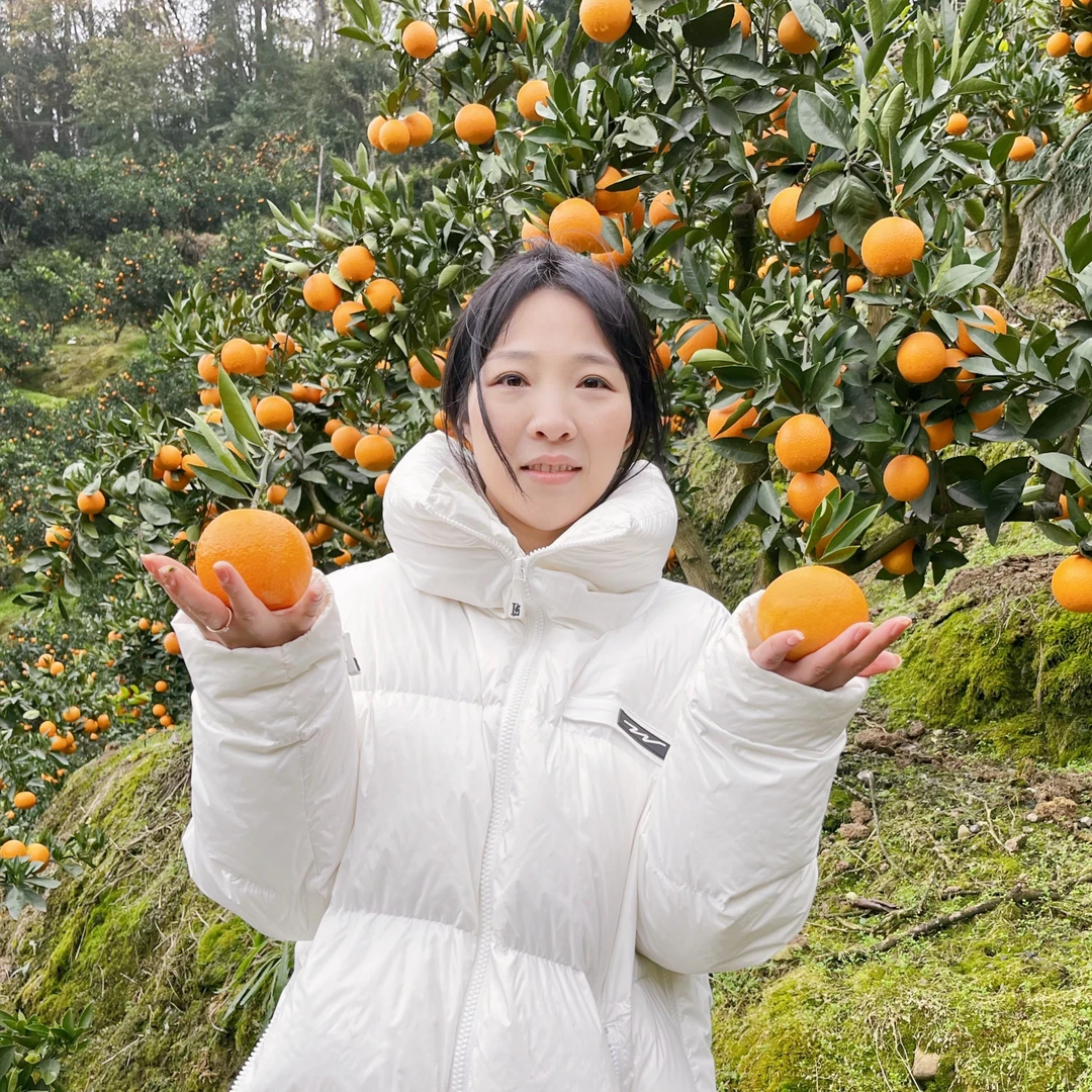 新鲜橙子秭归脐橙九月红果冻橙现摘现发应季时鲜水果