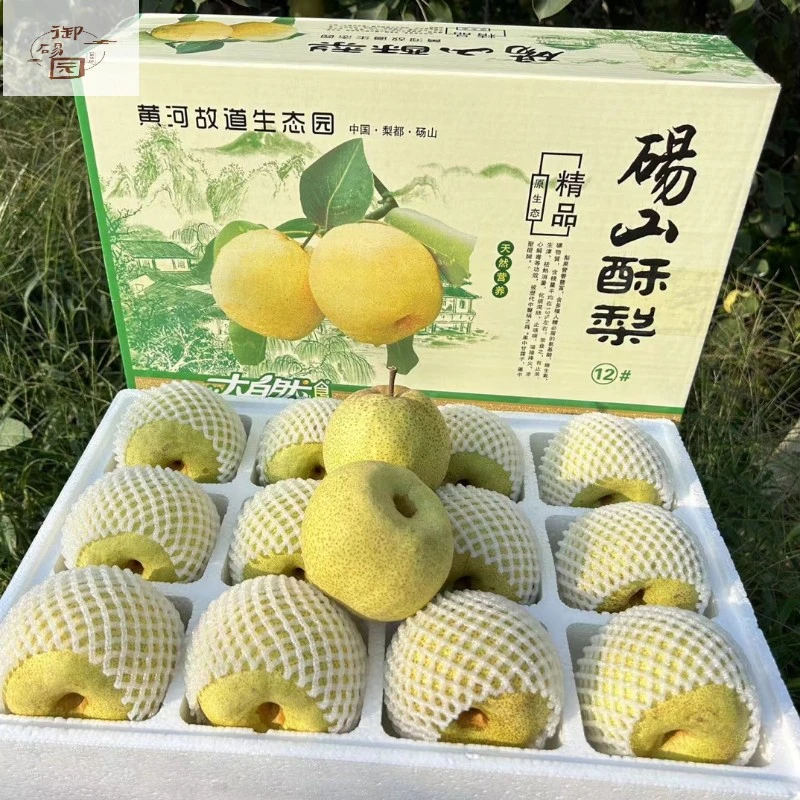 安徽正宗砀山酥梨新鲜水果10斤整箱当季包邮香梨发货雪梨应季梨子