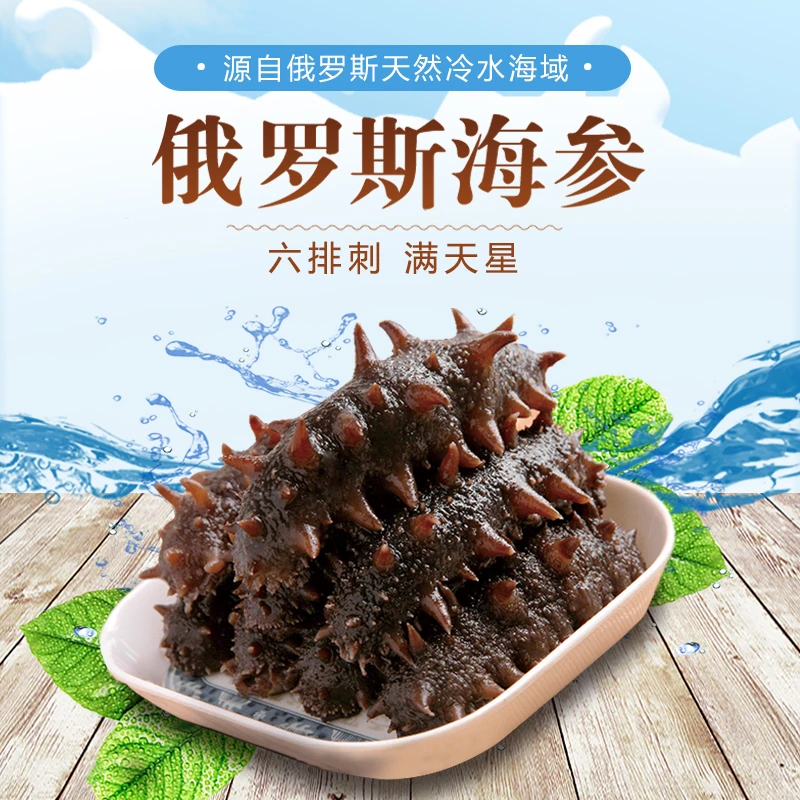 鲜食海参俄罗斯天然冷水海域精选高品质营养优质即食口感Q弹