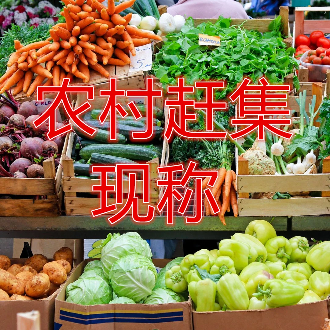 粤西地区赶集现称土特产干货农家菜蔬菜一件包邮（现场代购不退换）