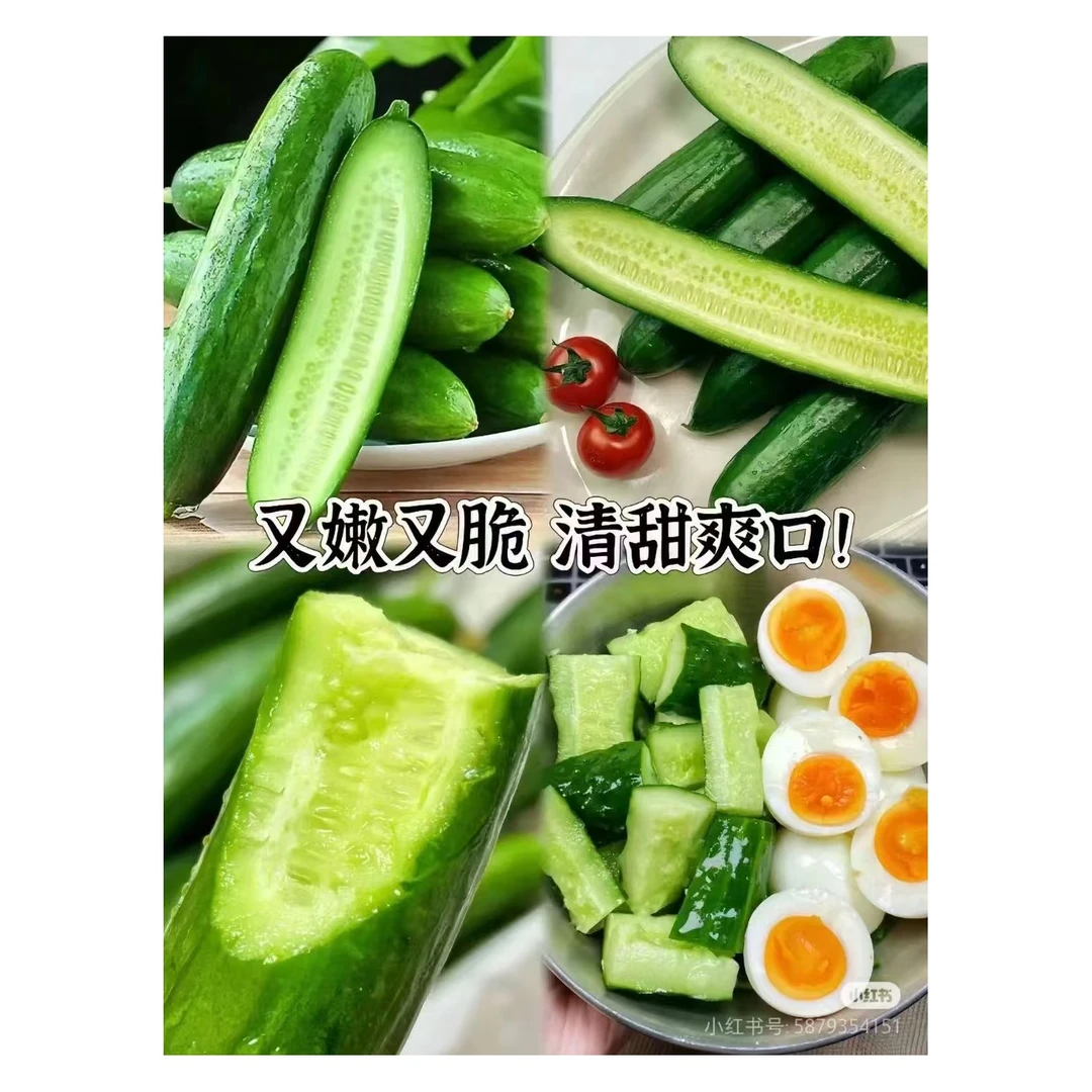 黄瓜5.5元5 斤