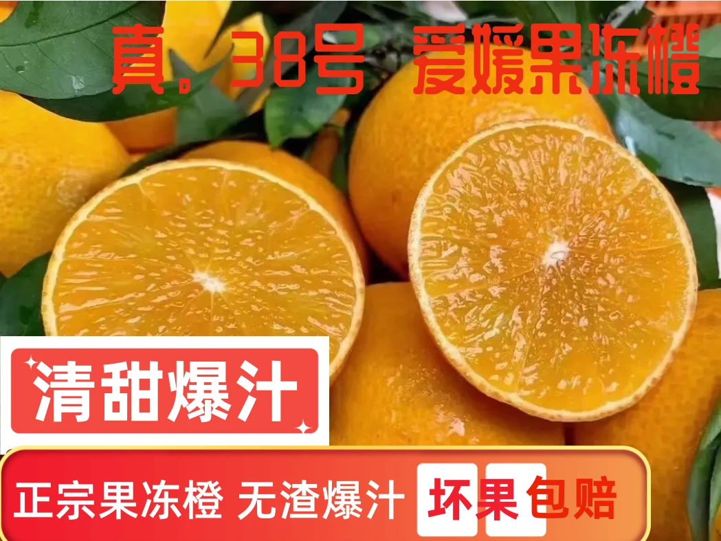 【现货】爱媛果冻橙爱媛38号新鲜水果果冻橙当季水果爆汁3/5/9斤