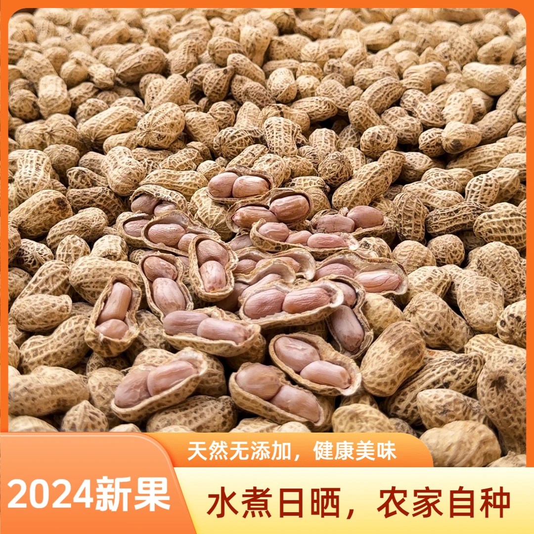 2024鸿福水煮咸干花生黄土种植（8成干~10成干）零食坚果传统纯手工