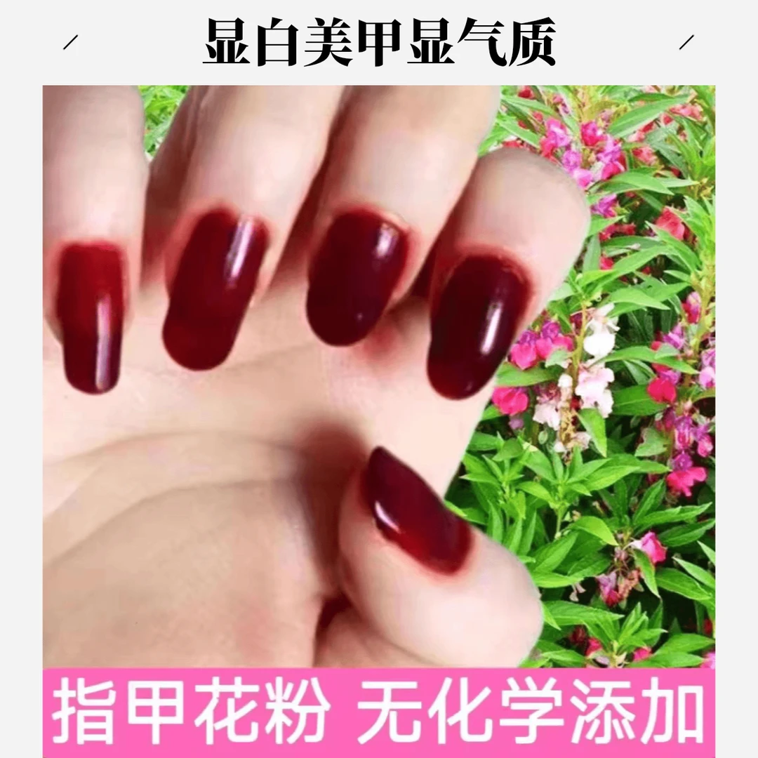 【送工具】指甲花粉小桃红冬夏季可用植物包指甲红色车厘子红风仙花