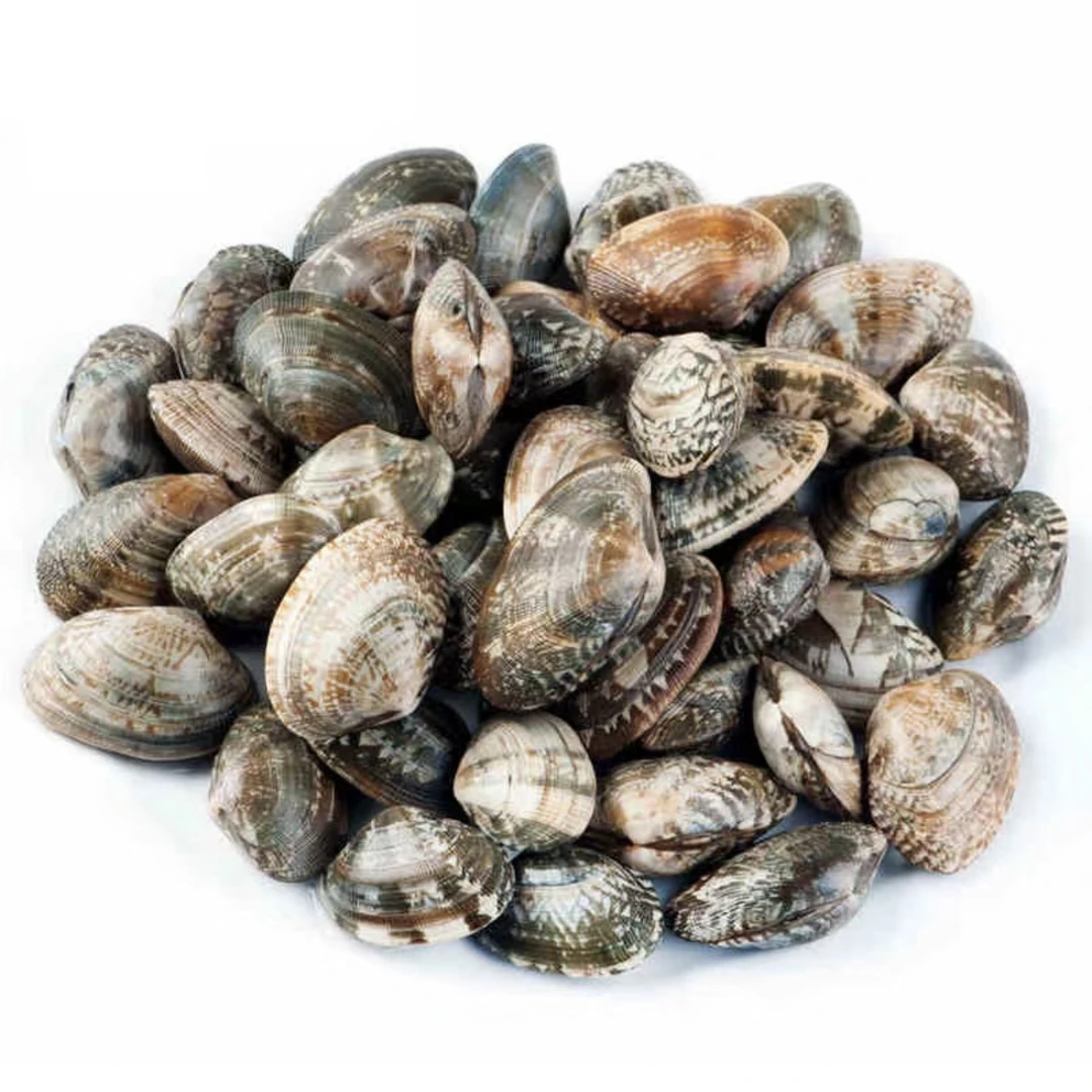 鲜活中号花甲2斤装