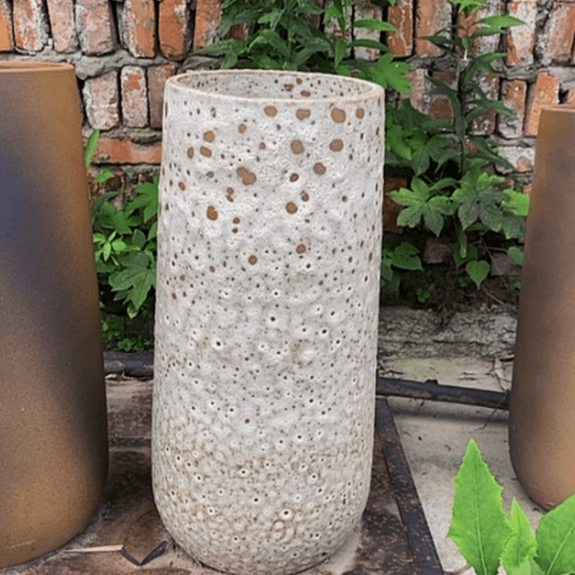 【闪购商品】20/50有孔