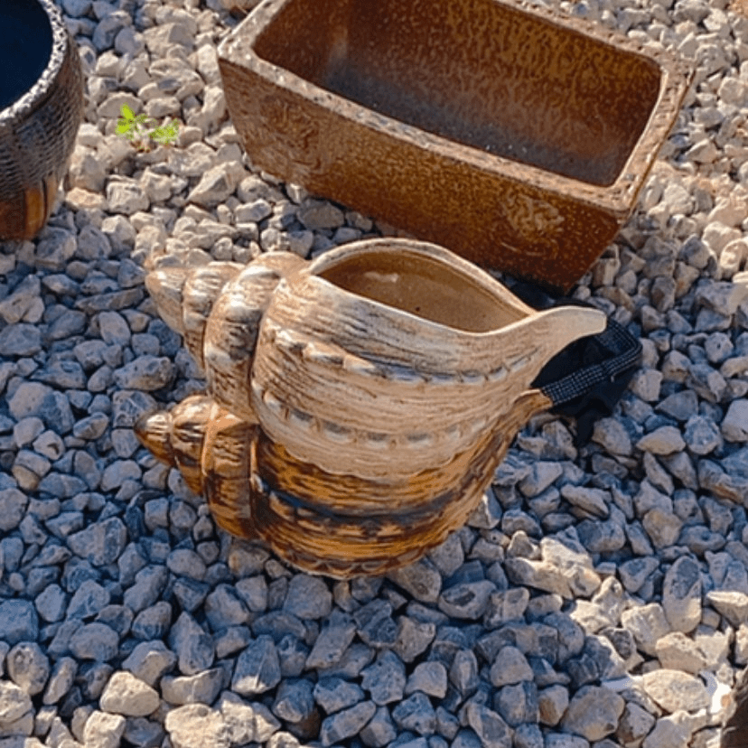 【闪购商品】红陶20CM以下11/25有孔