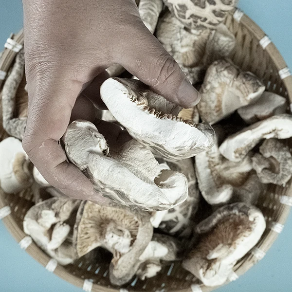 碎菇随州冬花菇直径清香大个头烘干品食用香菇营养方便鲜香