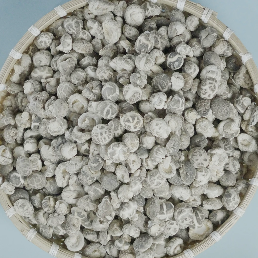 珍珠花菇丁随州直径2cm左右烘干香菇营养原生态鲜香浓郁嫩滑