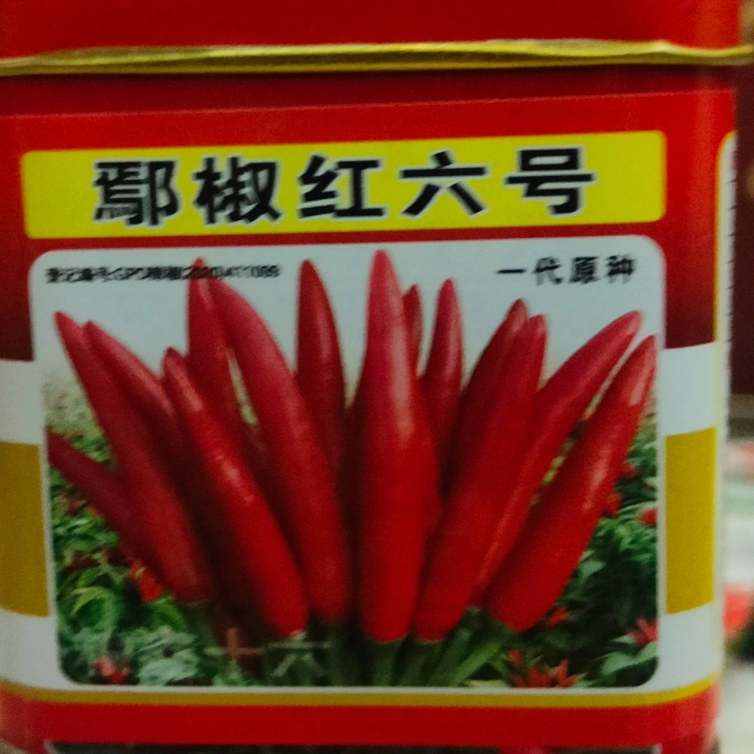 鄢椒红六号，枝上分枝杈上分杈