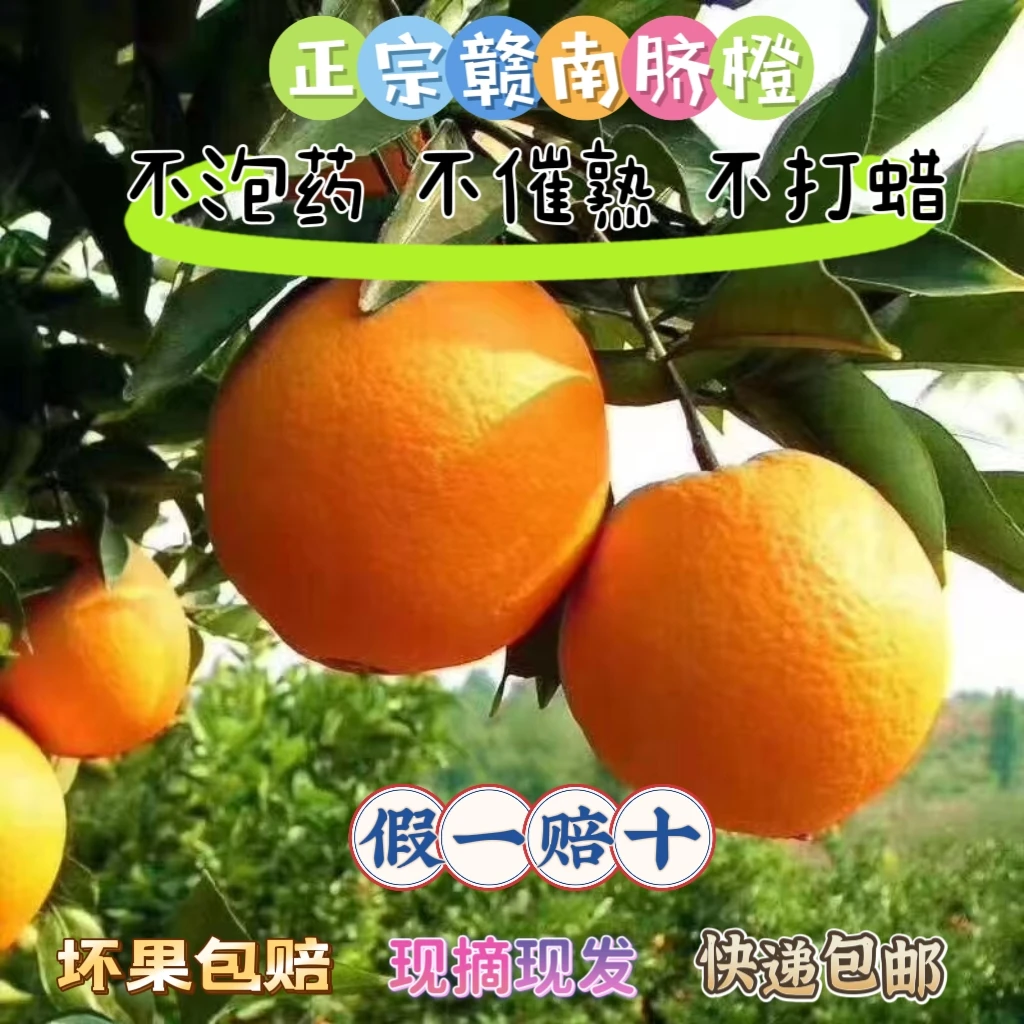 【假一赔十 快递包邮】橙子正宗自家赣南脐橙新鲜现摘现发10/20斤