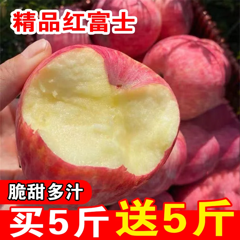 2024年头茬红富士苹果 坏果包赔 买5斤送5斤 脆甜多汁 多仓发货