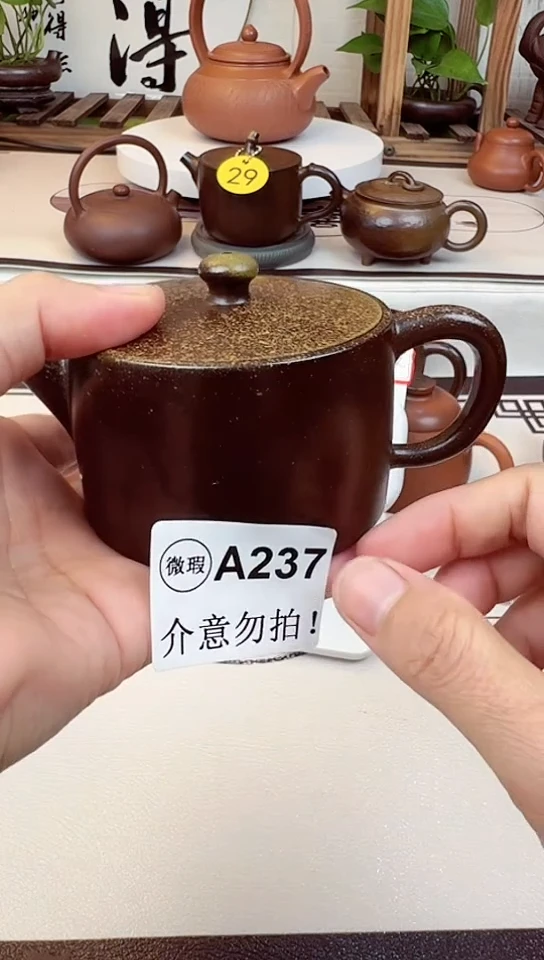 【闪购商品】A237  广西钦州木苏坭兴陶