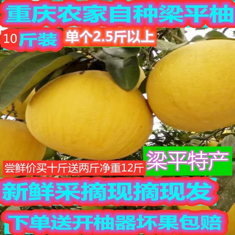 重庆特产梁平柚子梁山柚平顶柚麻柚白心柚甘甜当季新鲜水果产地