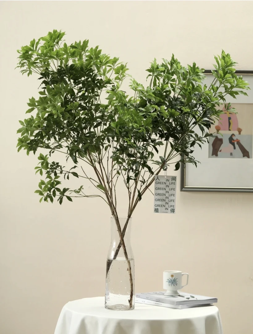 进口鲜切马醉木植物高级感室内客厅懒人福音超长待机鲜切