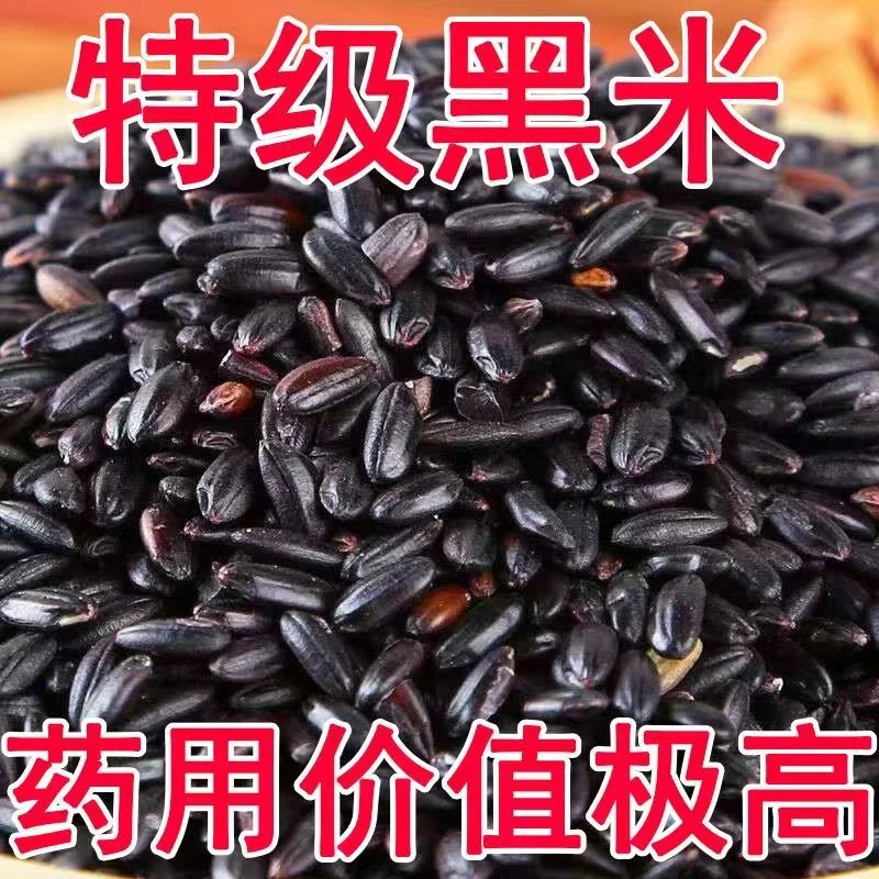 今年新黑米5斤东北农家无染色黑紫血糯米香米五谷杂粮粥黑米100g