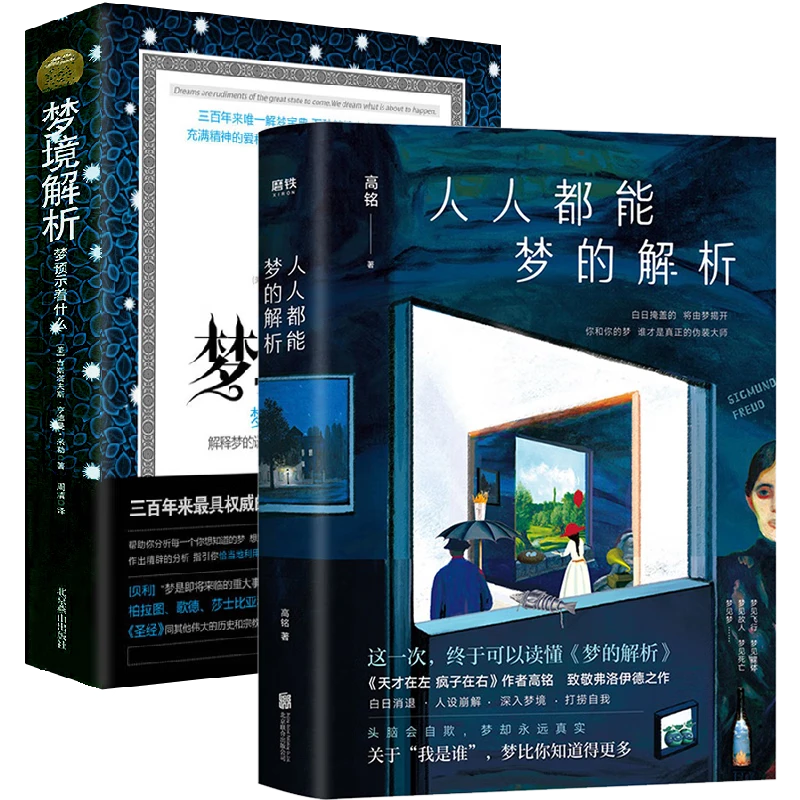 人人都能梦的解析+梦的解析致敬弗洛伊德心理学精神分析科普书籍