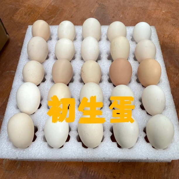 粉壳初生蛋40枚农家散养土鸡蛋粮食喂养现捡现发