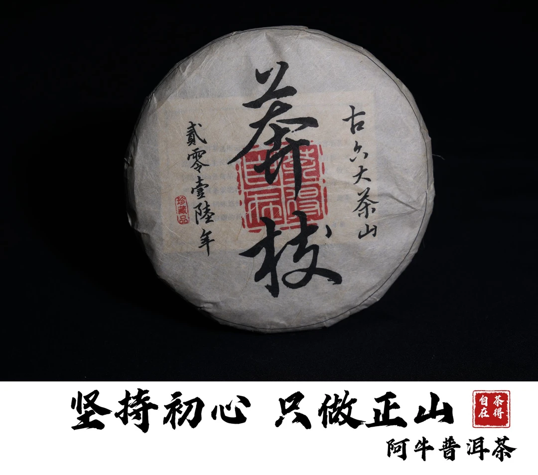 【古六大茶山之一】莽枝 2016年头春 古树 生茶