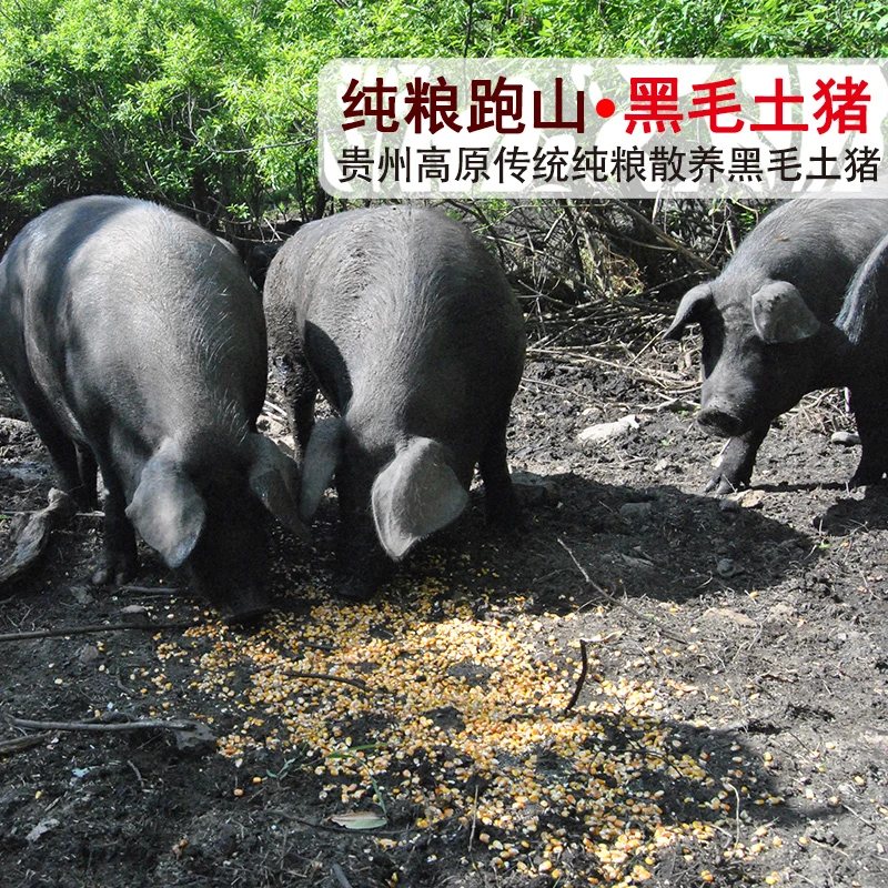 【顺丰空运】贵州正宗生鲜猪猪新鲜黑毛猪肉土猪肉黑猪肉油泼辣子