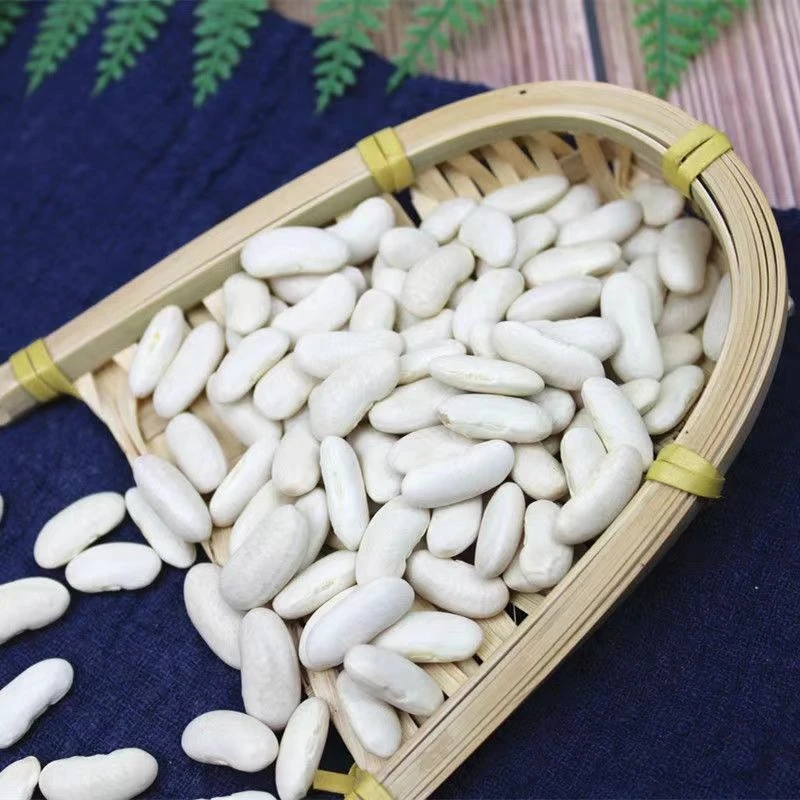 新货白腰豆白豆云南农家自种小白芸豆 豆米煲汤【新疆西藏专链】