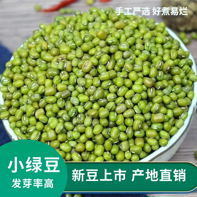 绿豆新货 农家自产小绿豆去皮脱皮绿豆糕饼绿豆汤材料新鲜豆芽