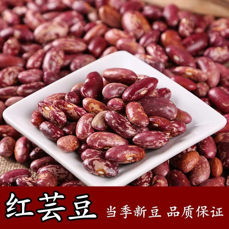 新红芸豆东北农家新鲜红腰豆紫花芸豆粒五谷杂粮食材饱满豆米