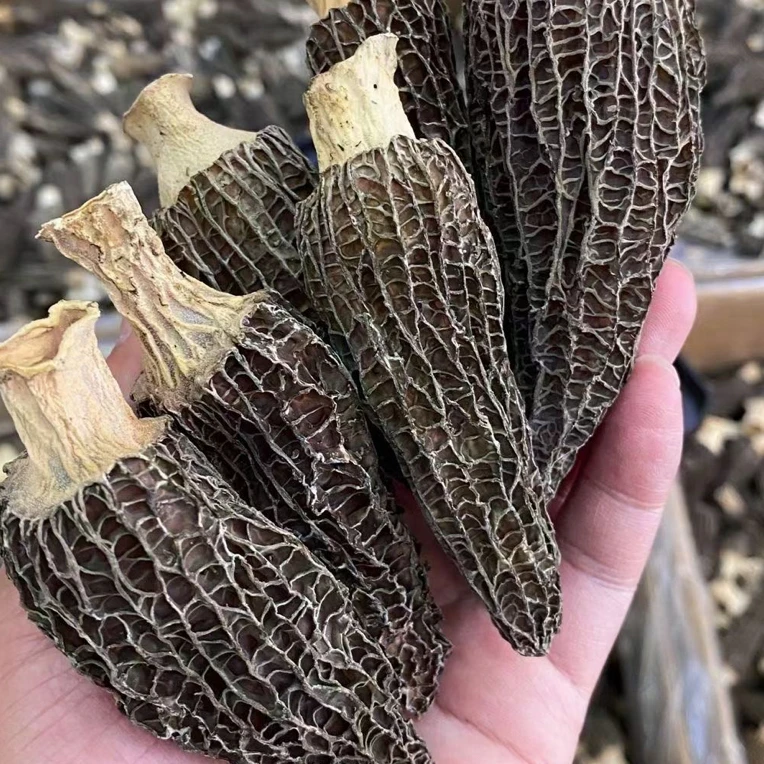 长白山  人工羊肚菌净重250克/500克