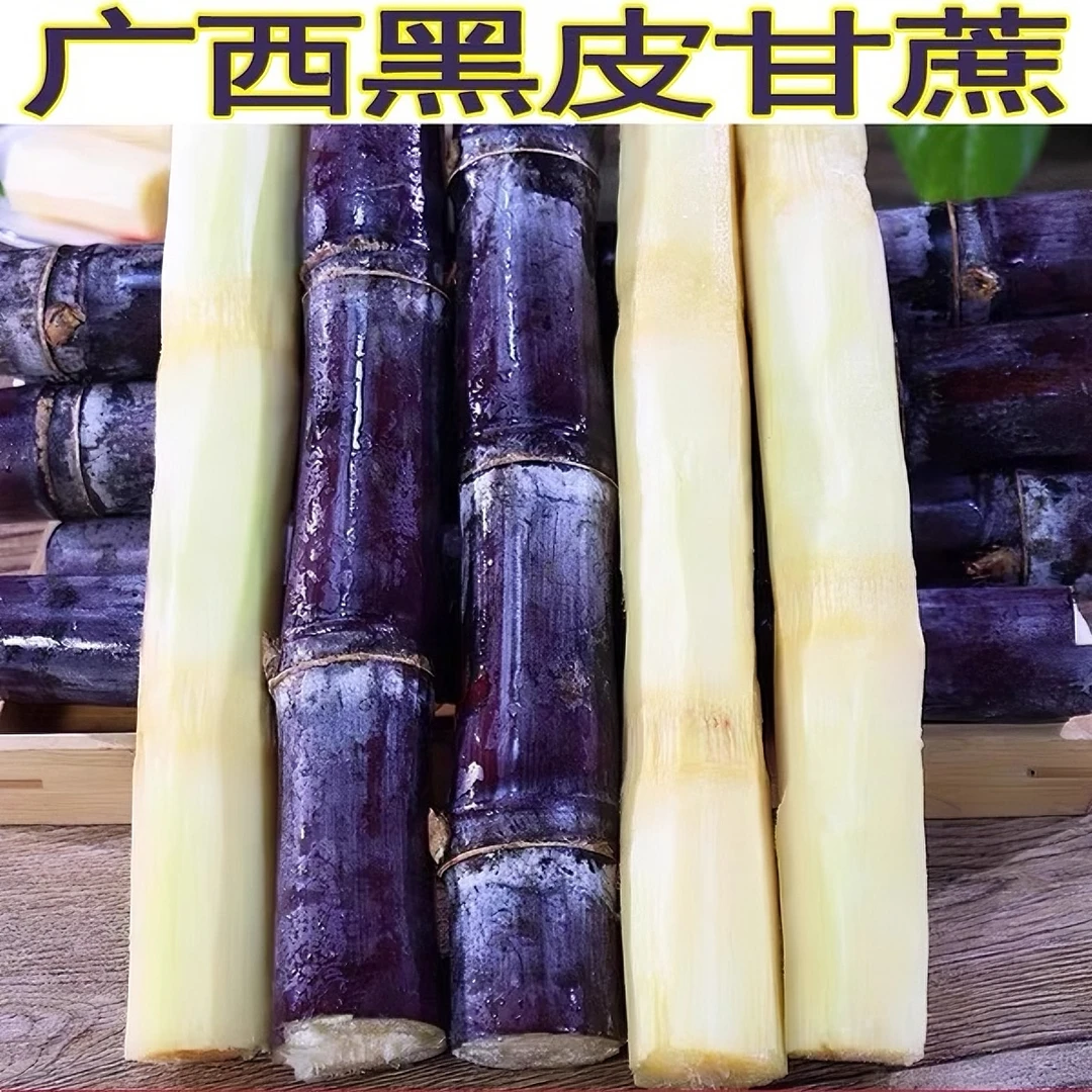 广西新鲜黑皮甘蔗去头尾5/9斤包邮爽口清甜多汁皮薄食用农家种植