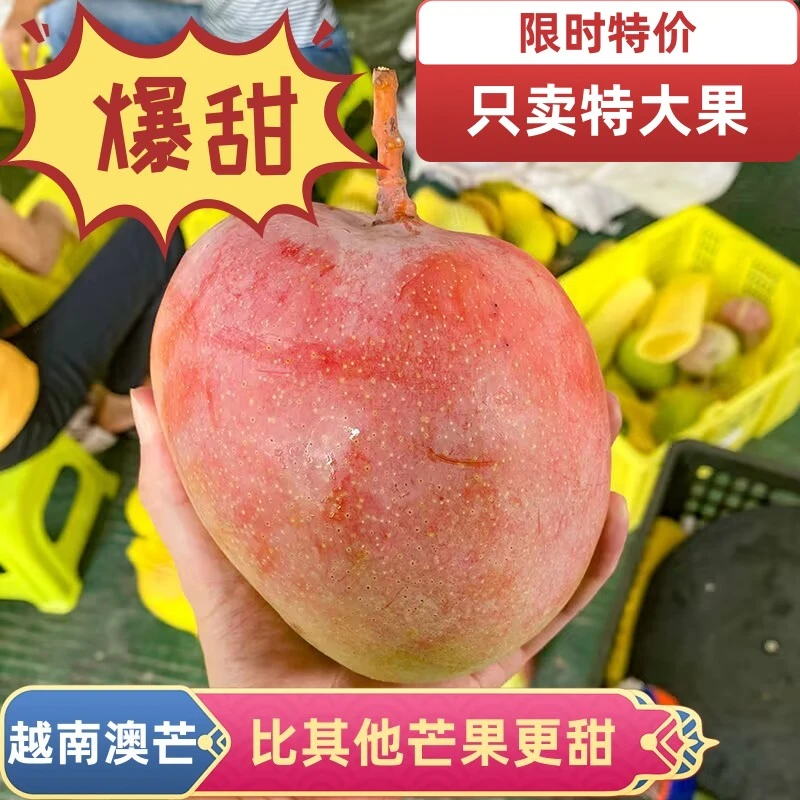 广西芒果精品越南进口澳芒新鲜孕妇水果特大芒果苹果芒3-8斤香甜