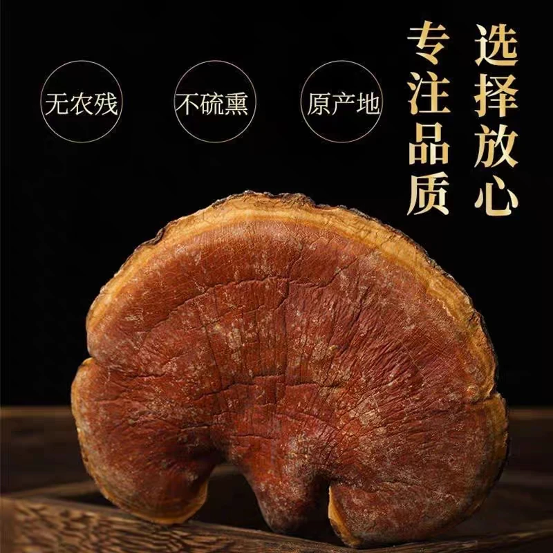 云南土特产，金--边---菱--之----------------------天然健康250g