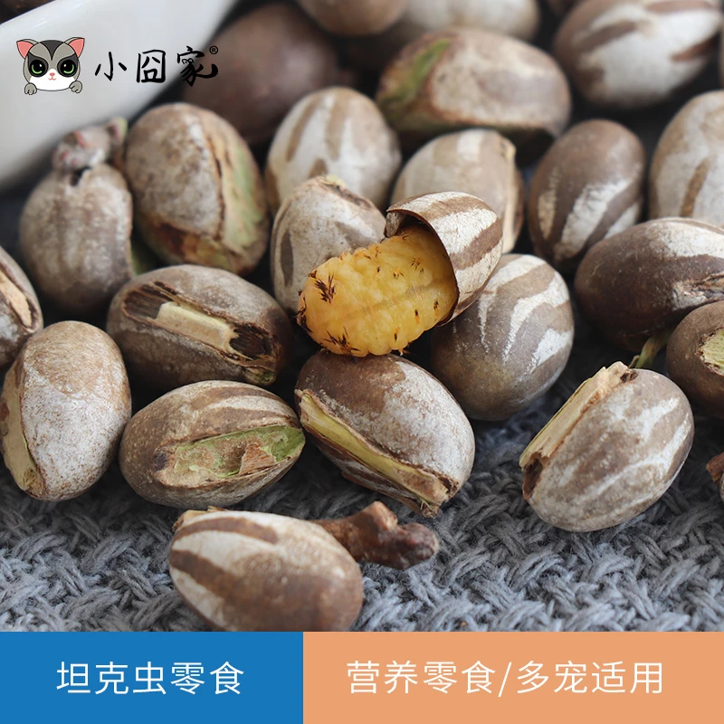 小囧家蜜袋鼯零食坦克虫幼虫洋辣子松鼠睡鼠刺猬仓鼠花枝鼠飞鼠