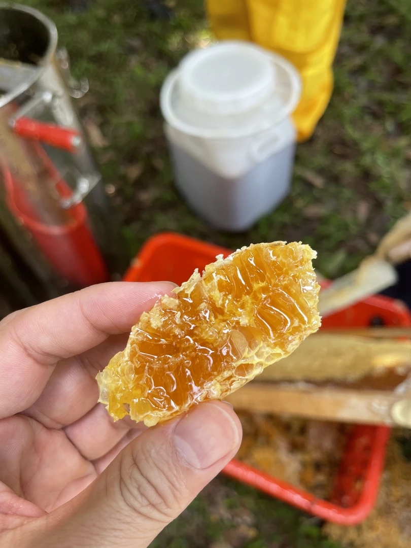 草岚武特产自然土种小锋绿色地区消暑百花蜜锋密