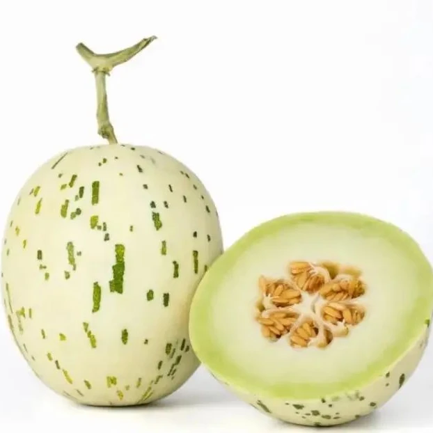 于甄鲜头茬月露流星蜜瓜当季甜瓜包邮<sss>