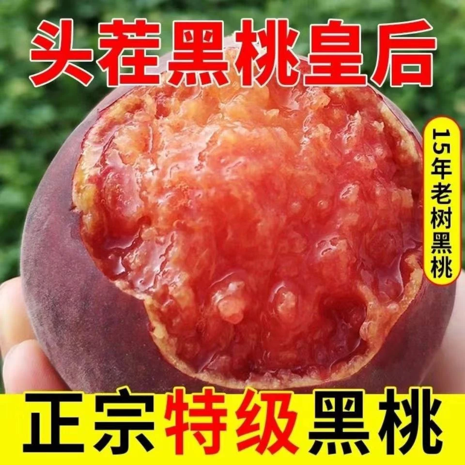 【于甄鲜】山东蒙阴黑桃皇后脆甜多汁毛桃现摘现发3-4.5斤装