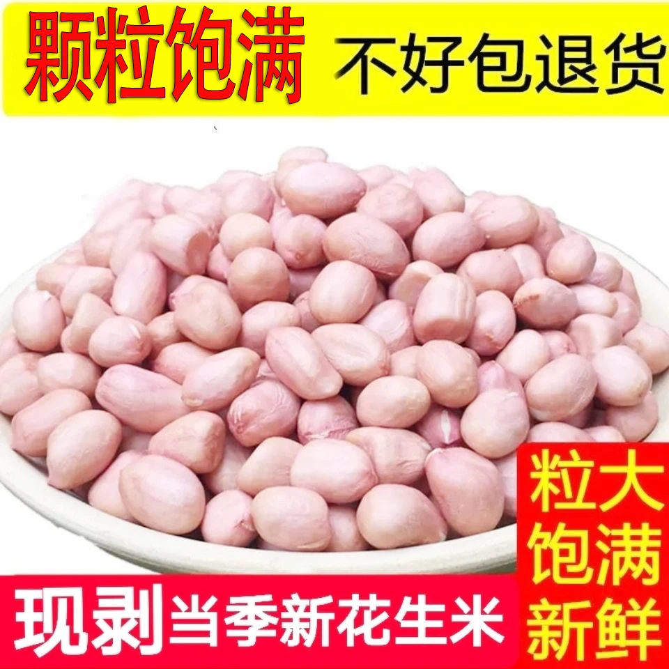 菇里巴巴现剥新货精选无壳白沙花生米粉红皮新鲜生花生米批发生