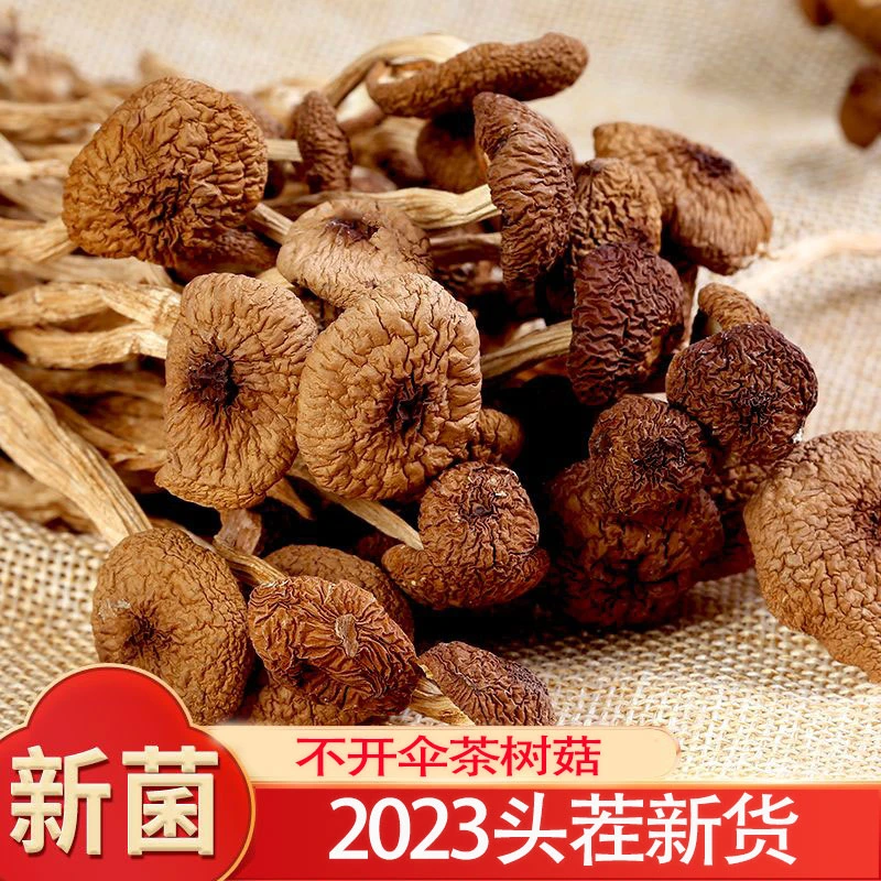 菇里巴巴云南茶树菇干货茶树菇煲汤营养菌菇干货菜类菌菇蘑菇食用