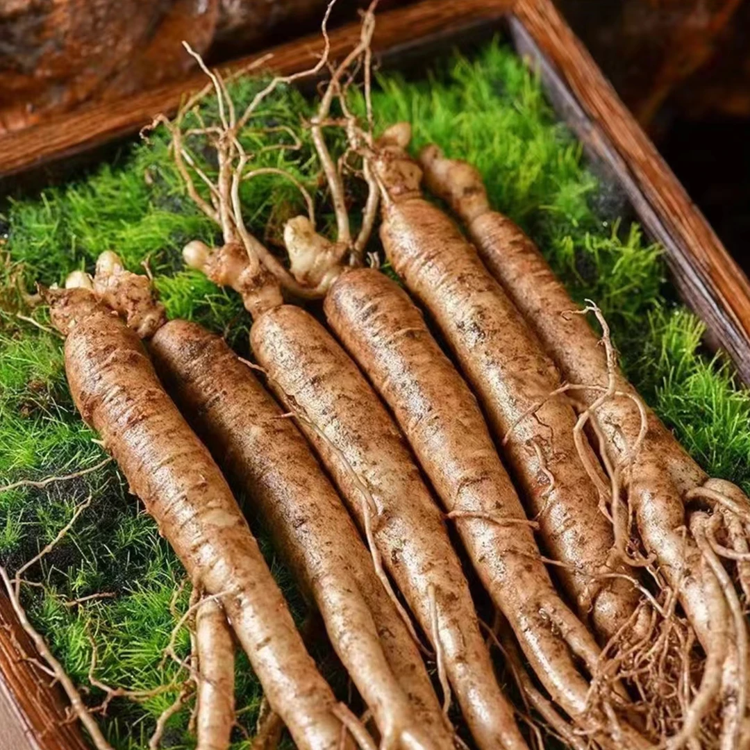 【4年单只8g左右】吉林长白山鲜人参煲汤泡酒营养丰富