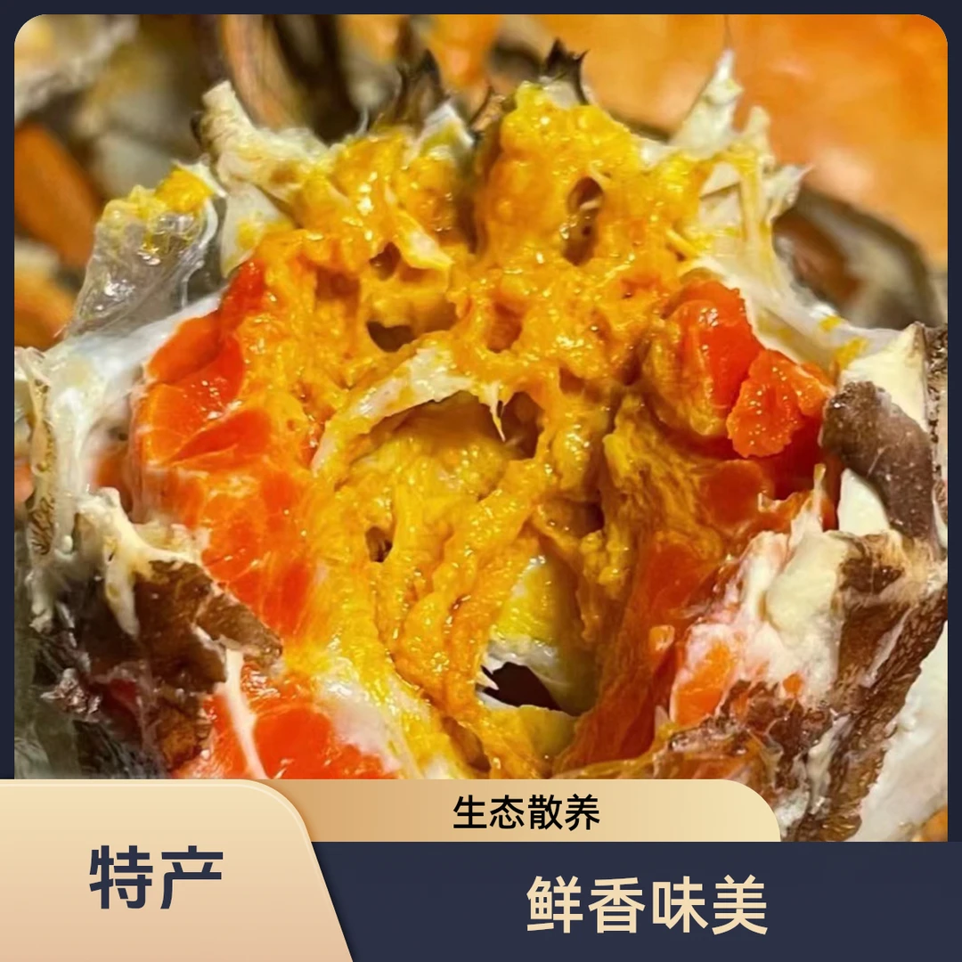 （包活包黄包肥）1-1.2两，三斤母正宗盘锦稻田蟹