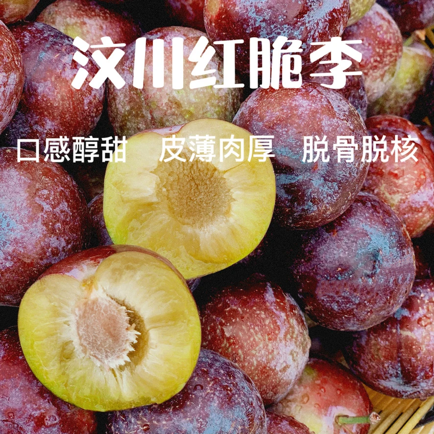【红脆李】汶川红脆李阿坝小王子红脆李净重5斤/2500克礼盒装
