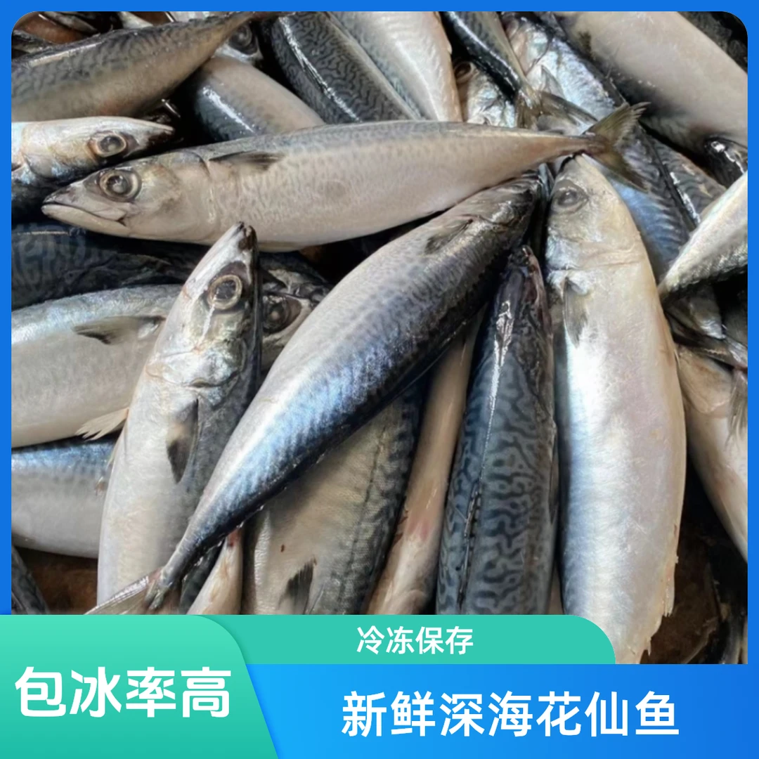 潮汕新鲜（生青占鱼）深海花仙鱼（冷链发货）