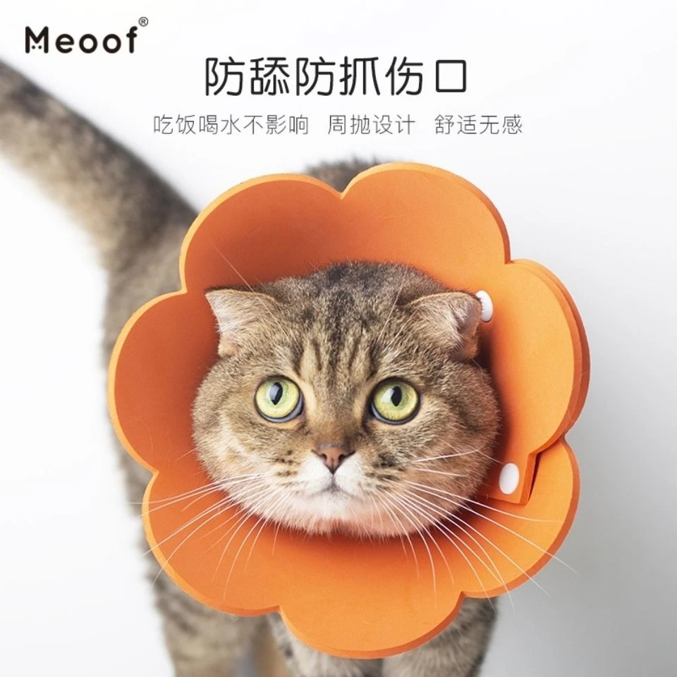 伊丽莎白猫圈软边狗狗项圈暗扣调整头套脖套驱虫绝育手术防舔防挠