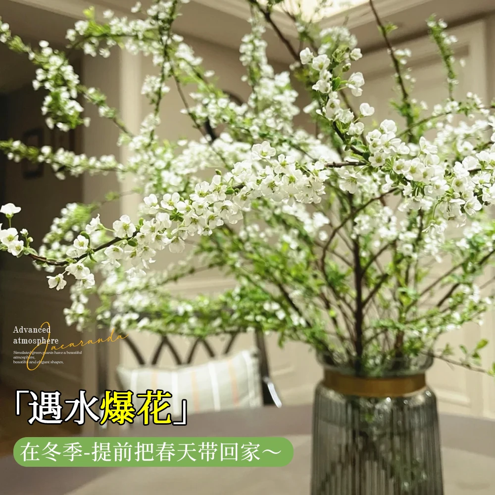 【带芽发货】雪柳遇水鲜枝耐寒水养插花开花水培花卉绿植干枝雪柳