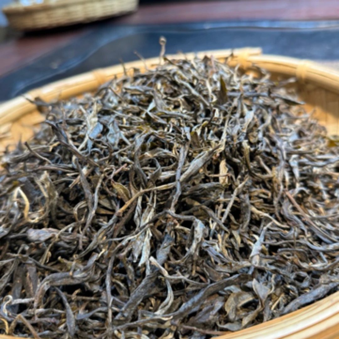 2023年散茶一斤装生普，香气好甜度高，上品口粮！纯料古树