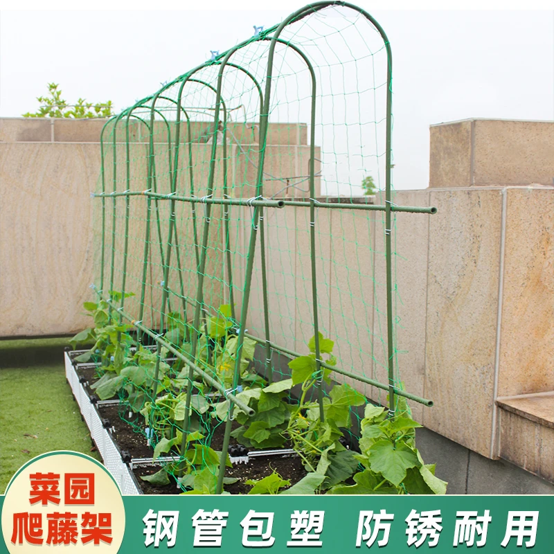 种菜爬藤架黄瓜豆角搭架架子种植葡萄架芸豆架杆支架支撑杆藤架