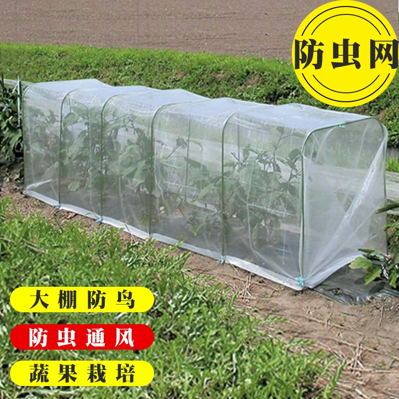 防虫用网大棚种菜搭架蔬菜盆花盆菜盆种植农业使用培育防鸟罩丝网