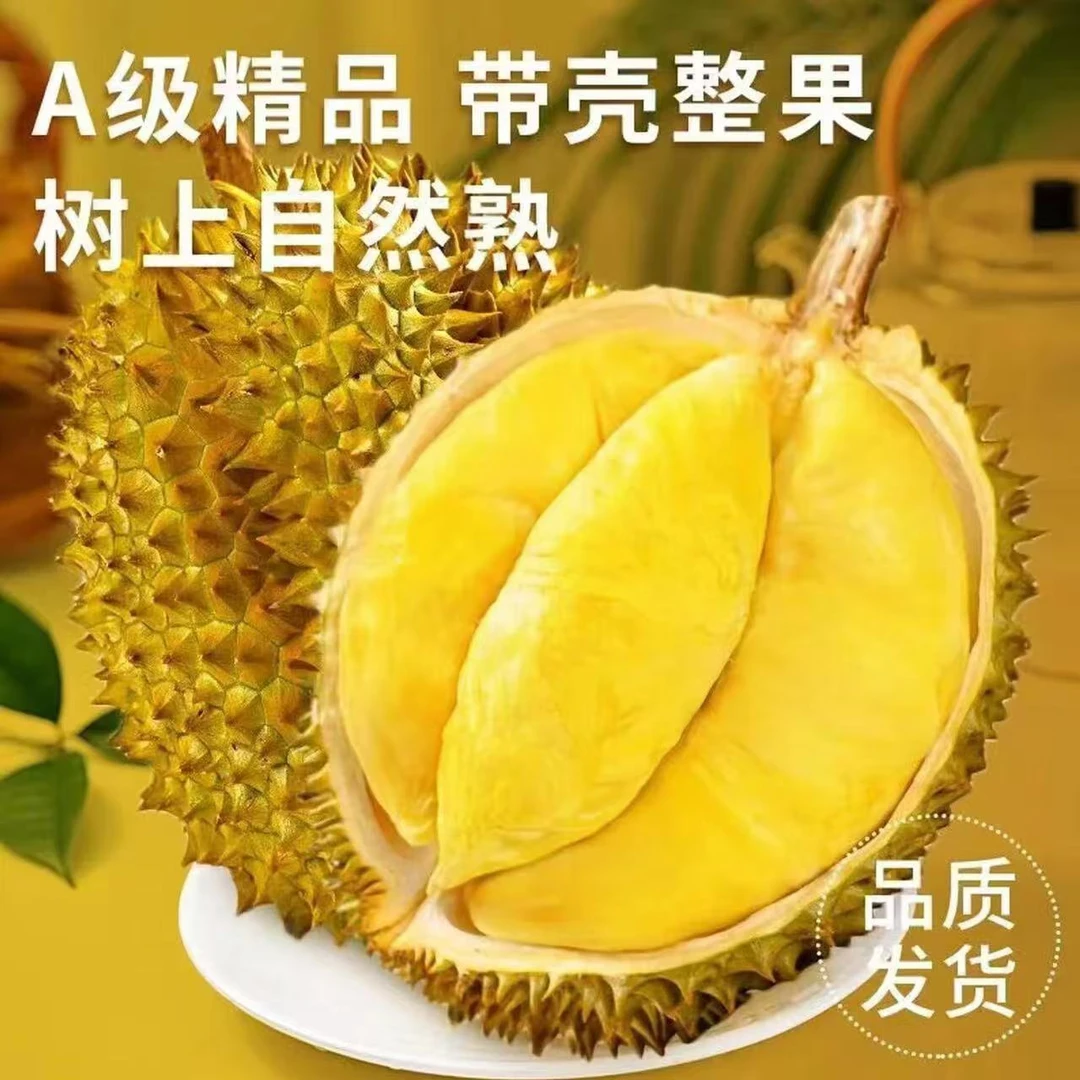 【全国福利】3-4斤精选黄金普雅鲜榴莲  香甜软糯 顺丰包邮