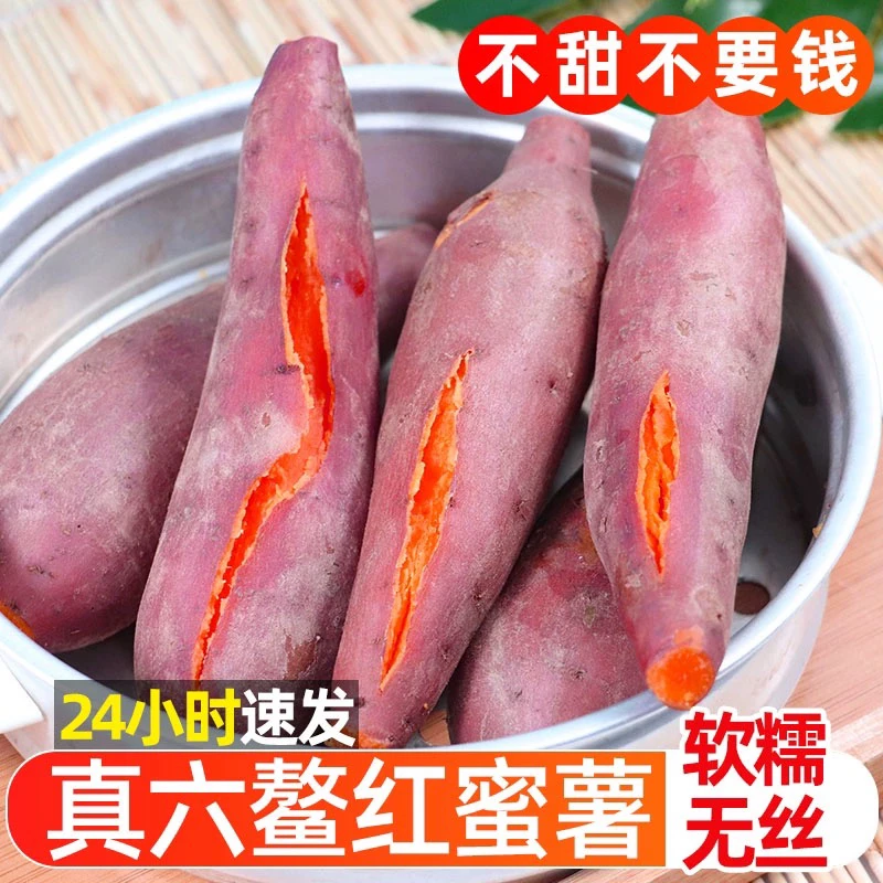 精选六鳌蜜薯红心地瓜番薯软糯香甜肉质细腻沙地种植现挖现发拇指