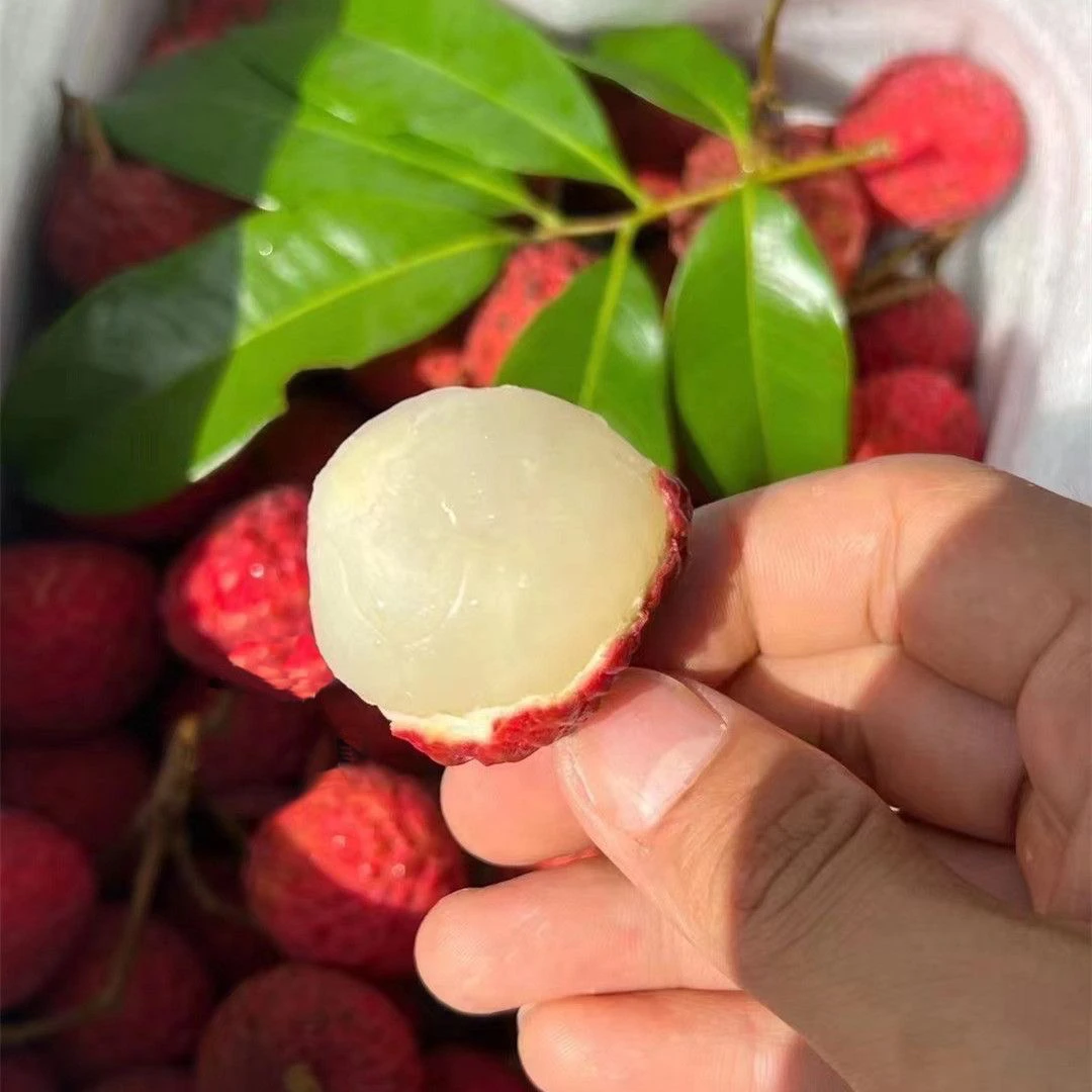 正宗海南桂花香荔枝回味汁水丰盈现摘现发顺丰京东空运尝鲜荔枝