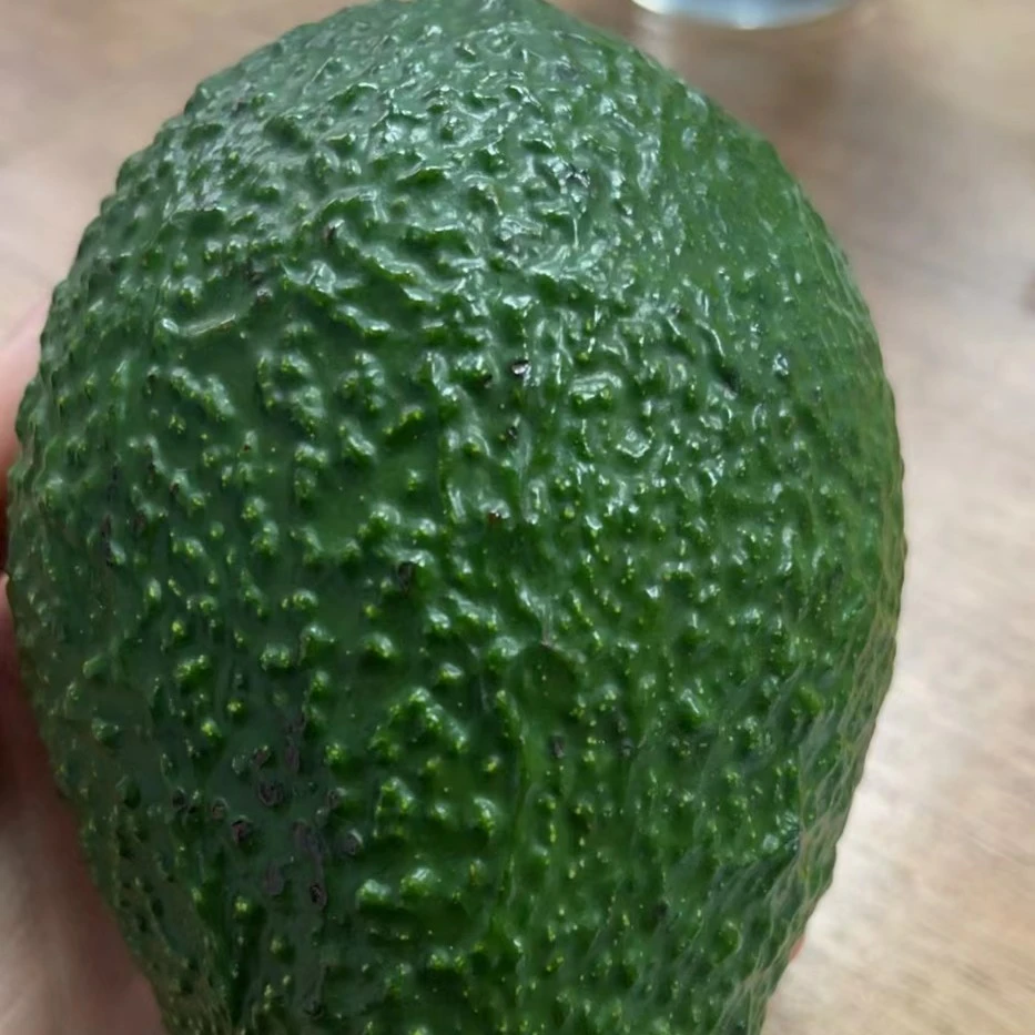 【2周年庆】进口牛油果4个大果宝宝辅食单果170-200g新鲜